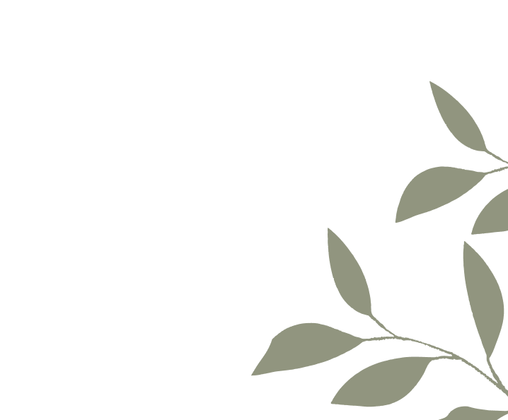 Decorazione foglie verdi sfondo sezione