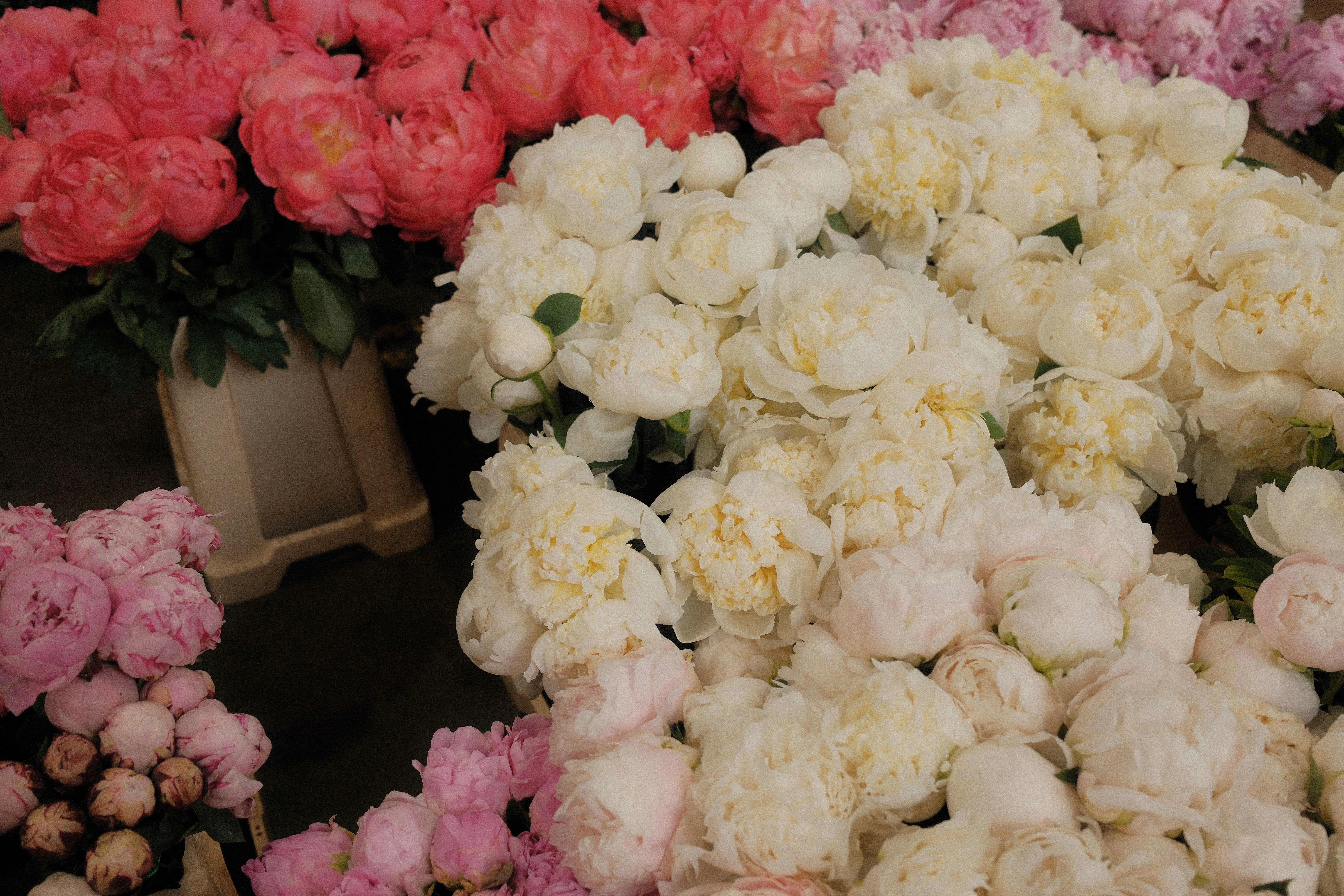 Italian wedding vendor preparing details for destination wedding ceremony